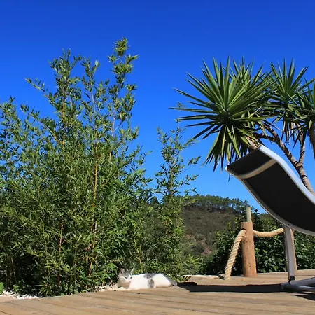 Beautiful House In Nature - Vida Pura Gasthof
